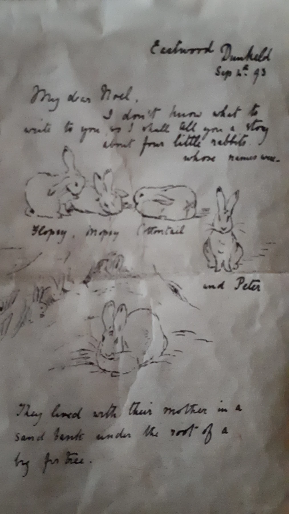 Potter's handwriting above four drawings of rabbits labelled Flopsy, Mopsy, Cotton-tail and Peter.