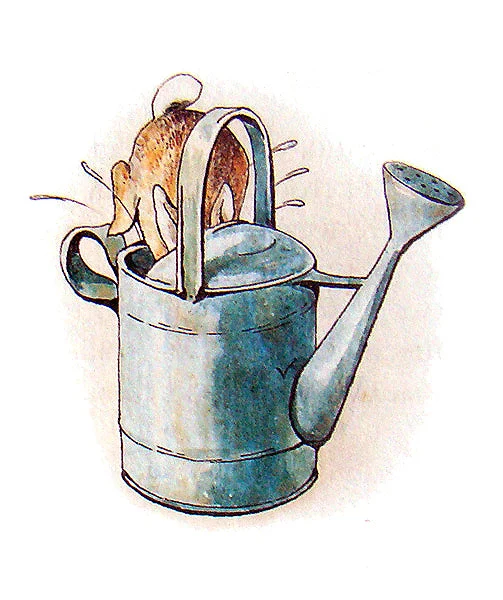 Peter Rabbit climbing into a watering-can.